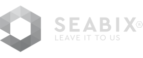 Logo der Seabix AG in Grautönen